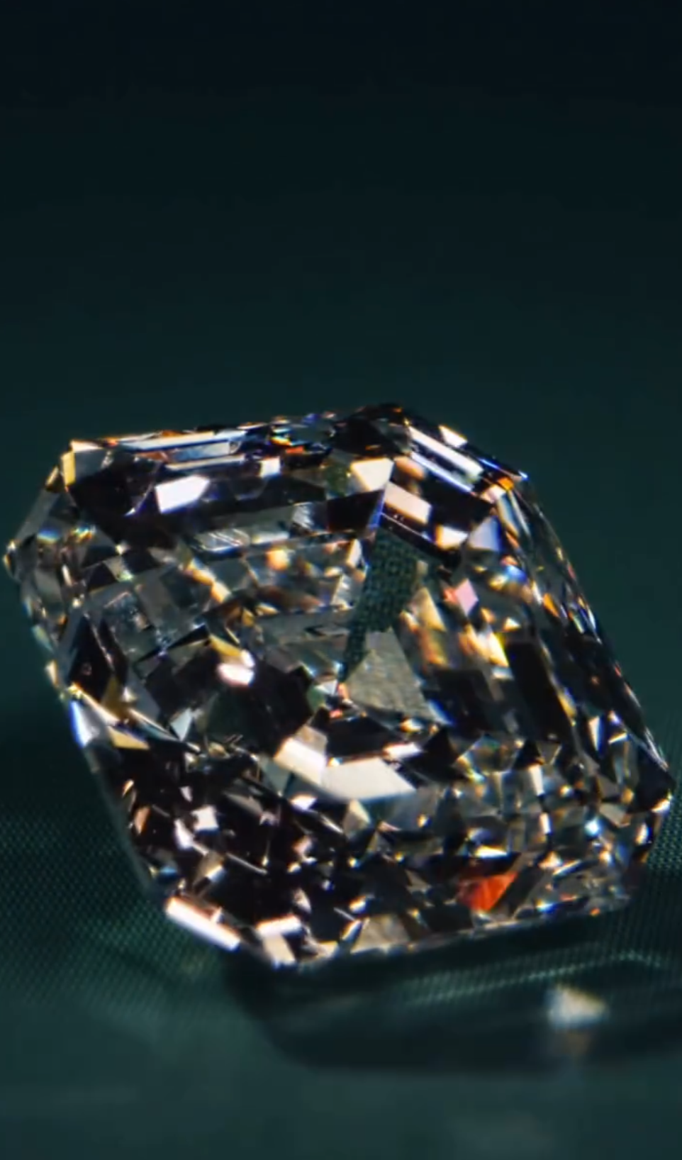 Professional growth showcase