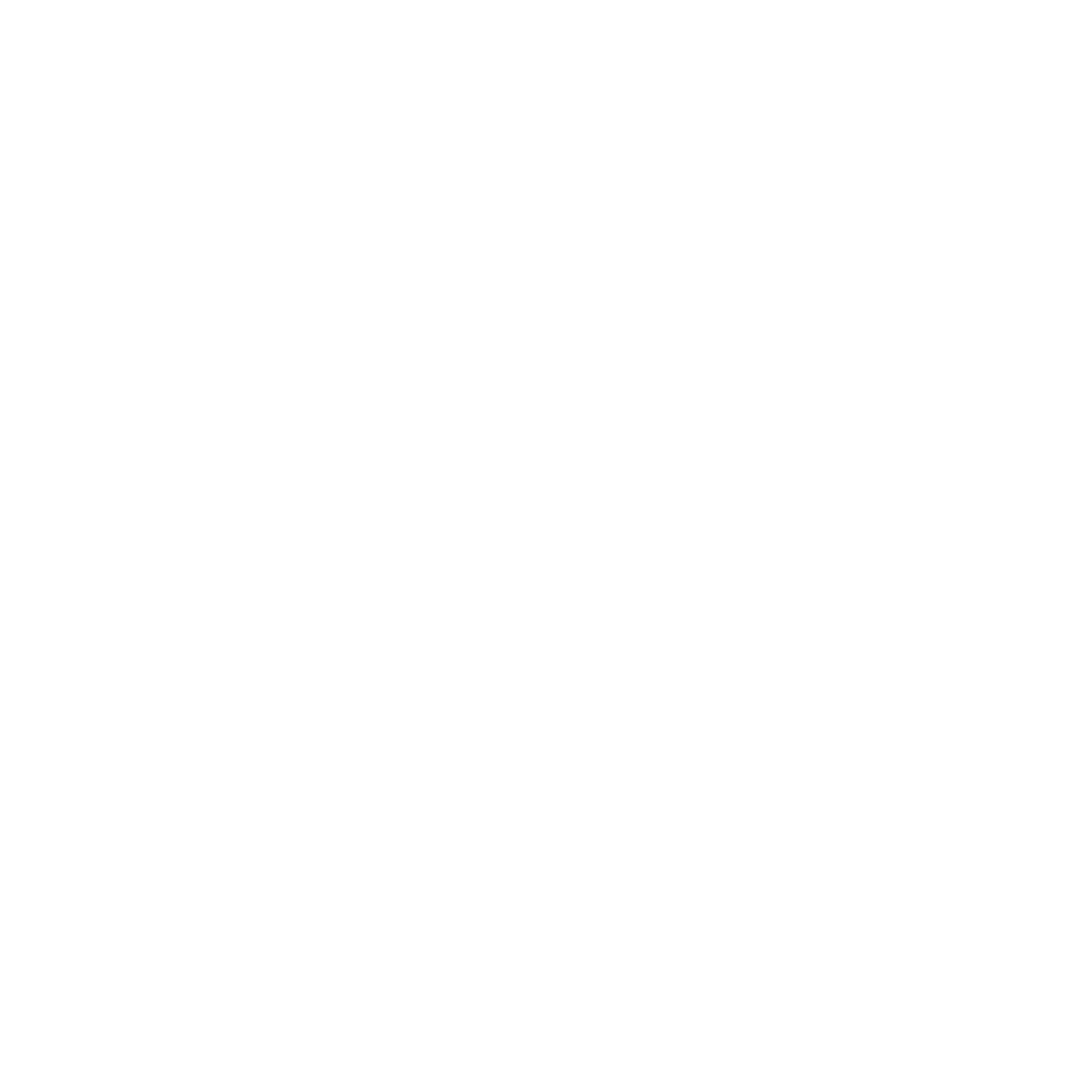 AE COIN Logo